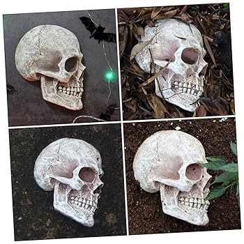 Qeeboo   頭蓋骨の形をした　スツール Amazon.co.jp: CRAFTHROU 頭蓋骨の装飾品 グッズ 頭骨モデル